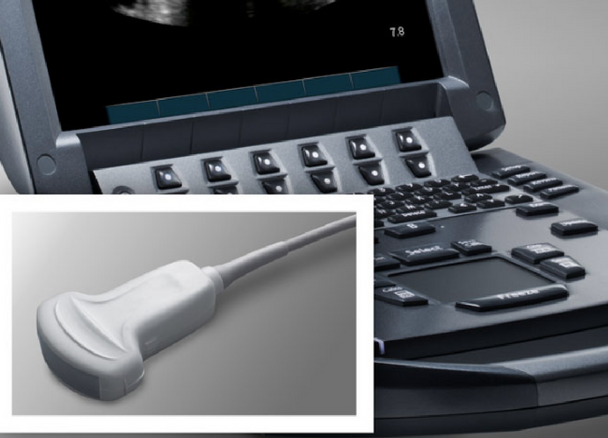 所用 Sonosite 超声系统